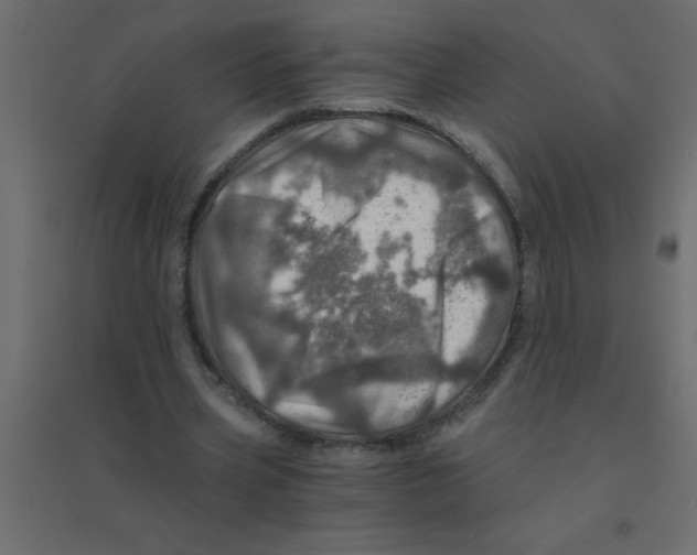 X0000094200533200711241639