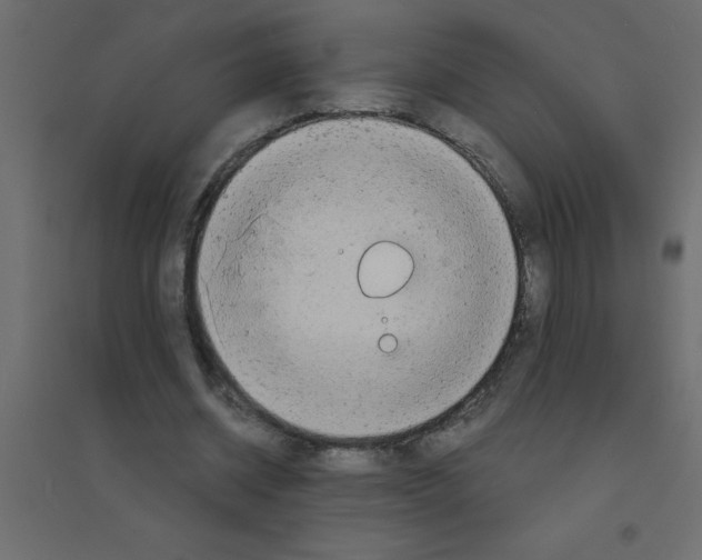 X0000094200534200711241639