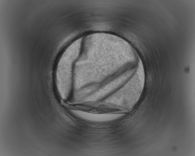 X0000094200535200711241639