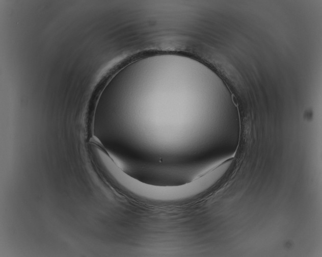 X0000094200536200711241639