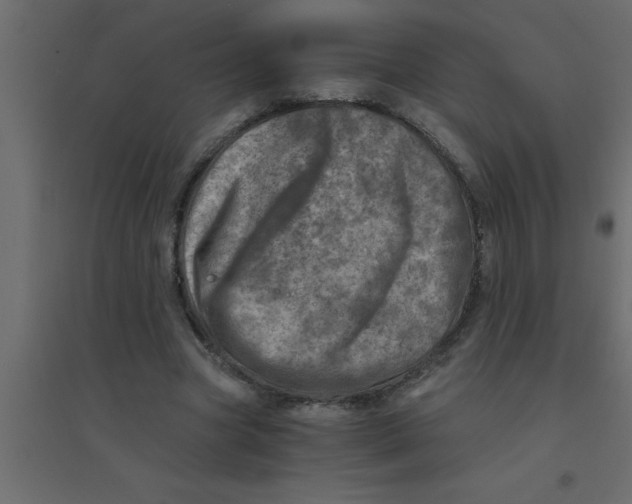 X0000094200537200711241639