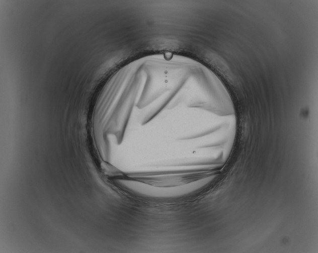 X0000094200538200711241639