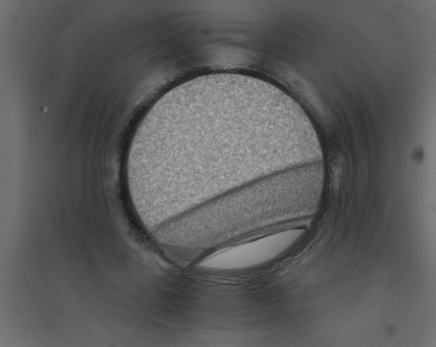 X0000094200539200711241639