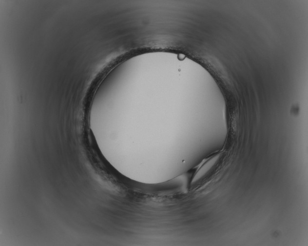 X0000094200540200711241639