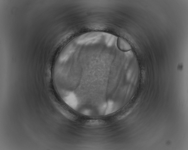 X0000094200541200711241639