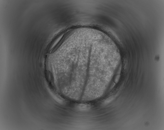 X0000094200542200711241639