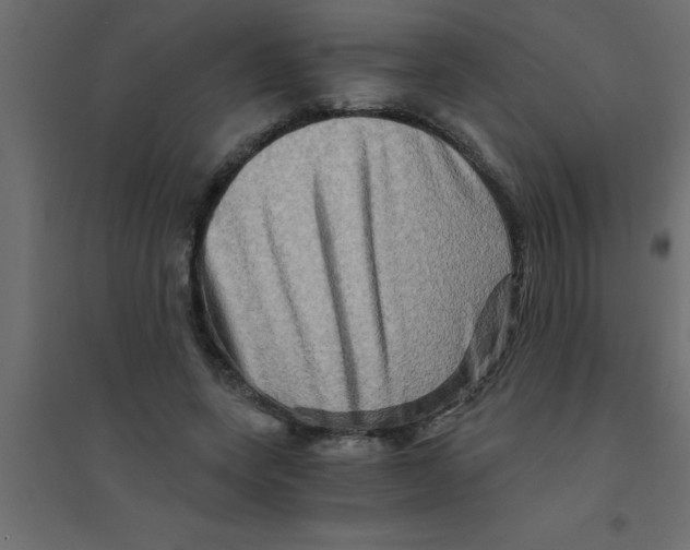 X0000094200543200711241639