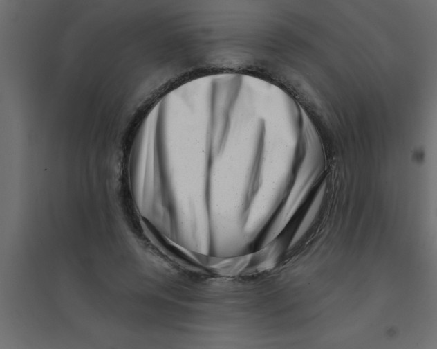 X0000094200544200711241639