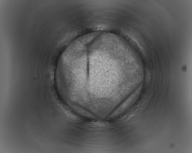 X0000094200545200711241639