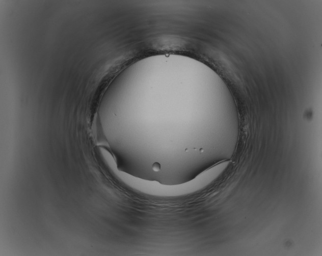 X0000094200547200711241639