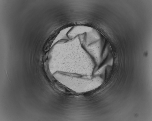 X0000094200548200711241639