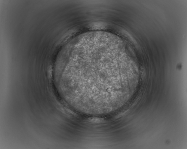 X0000094200549200711241640