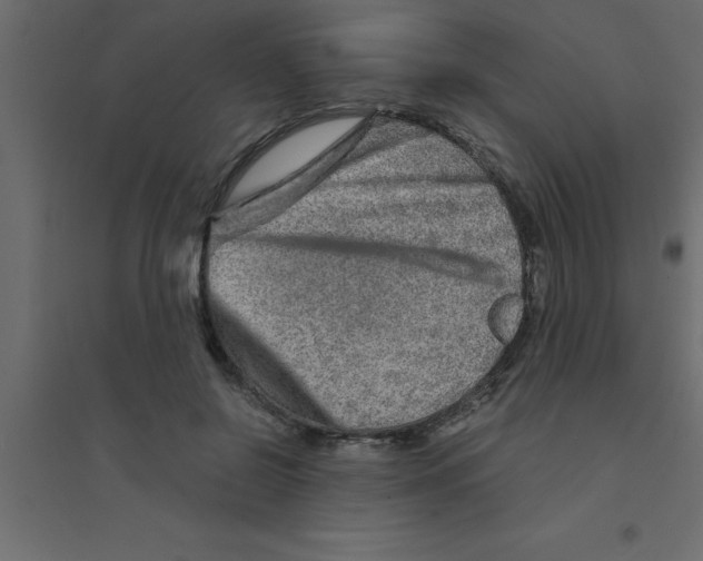 X0000094200550200711241640