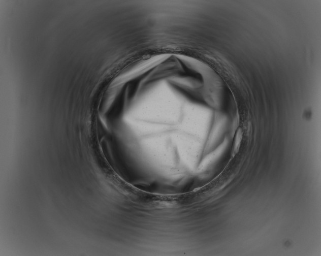 X0000094200552200711241640