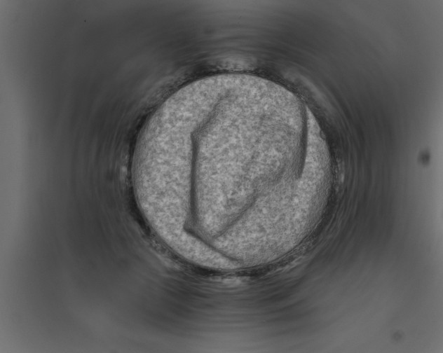 X0000094200553200711241640