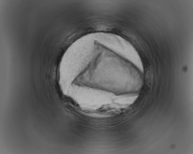 X0000094200554200711241640