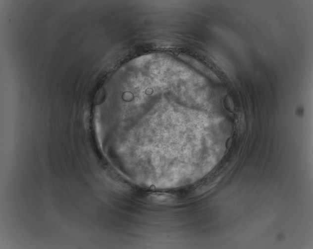 X0000094200557200711241640