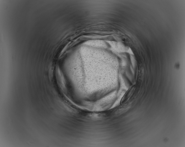 X0000094200558200711241640