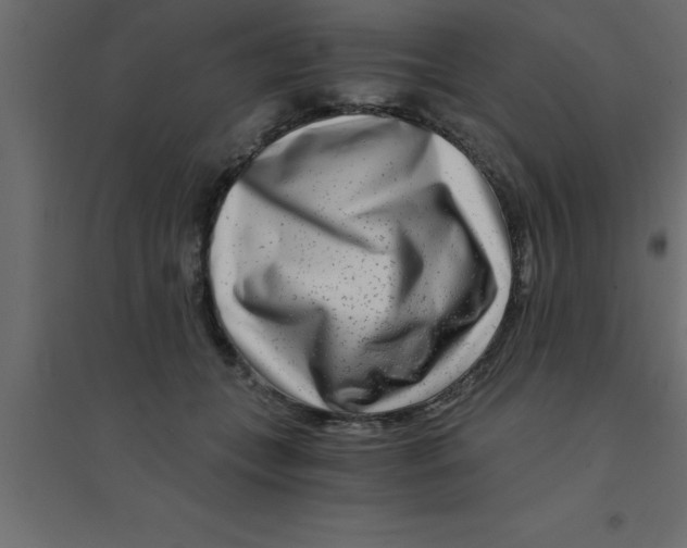 X0000094200559200711241640