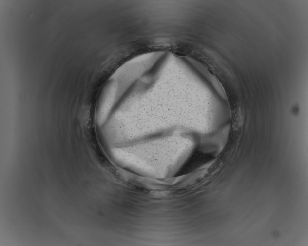X0000094200560200711241640