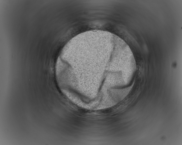 X0000094200561200711241640