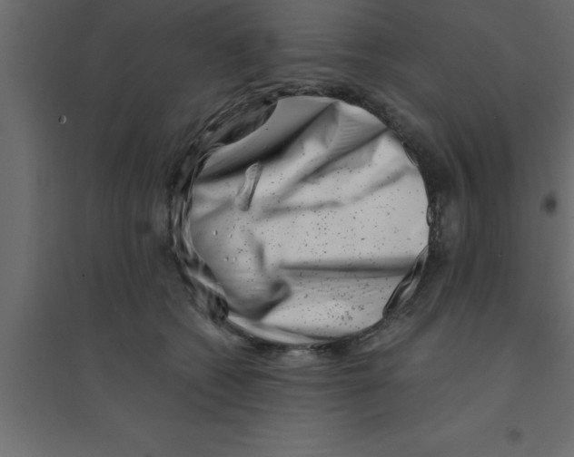 X0000094200562200711241640