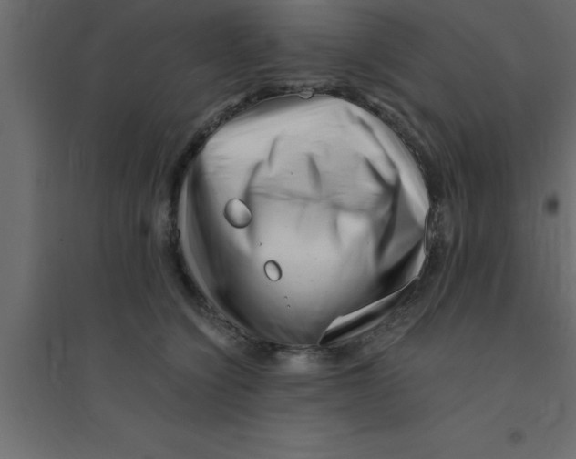 X0000094200564200711241640