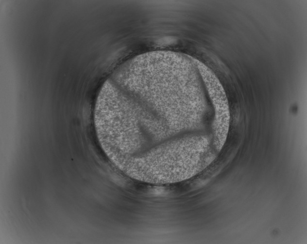X0000094200565200711241640