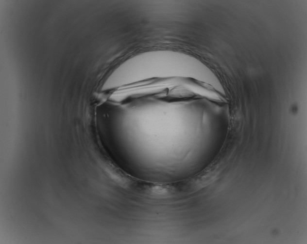 X0000094200566200711241640
