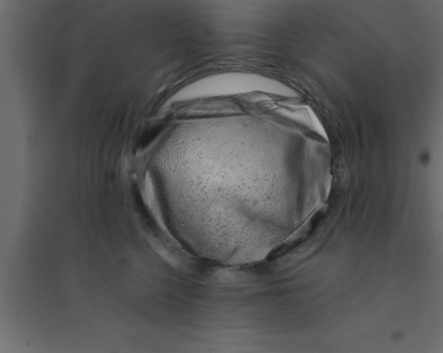 X0000094200568200711241640