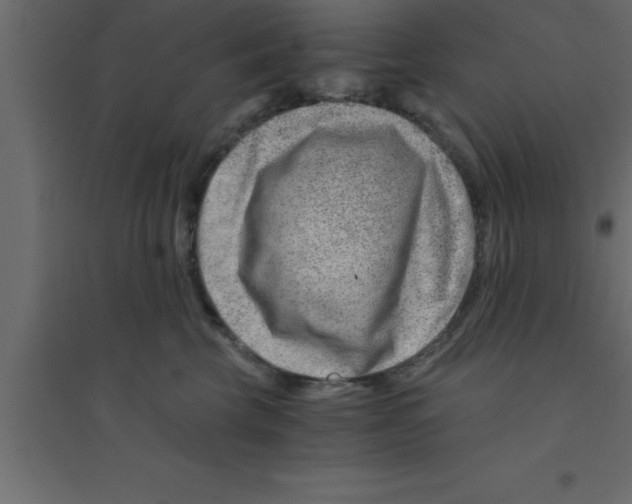 X0000094200569200711241640