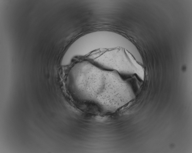 X0000094200570200711241640