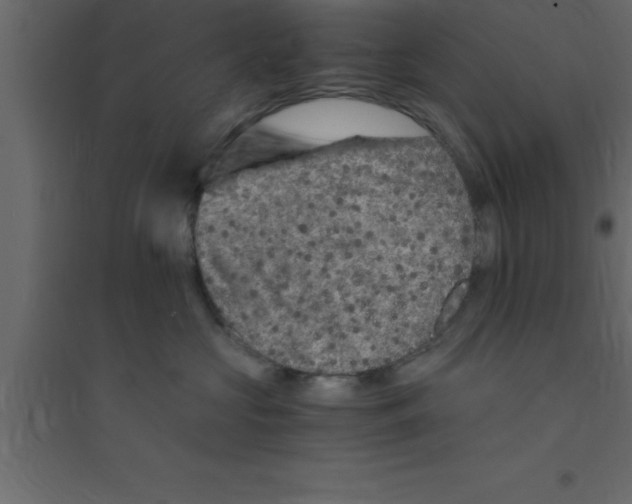X0000094200573200711241640