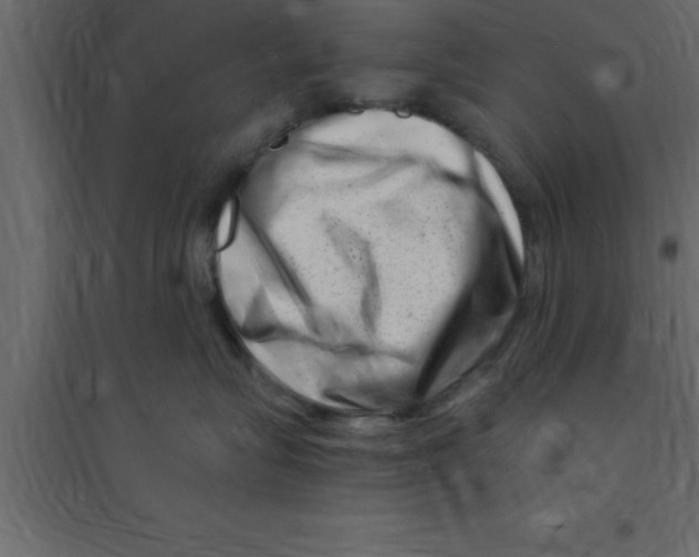 X0000094200575200711241640