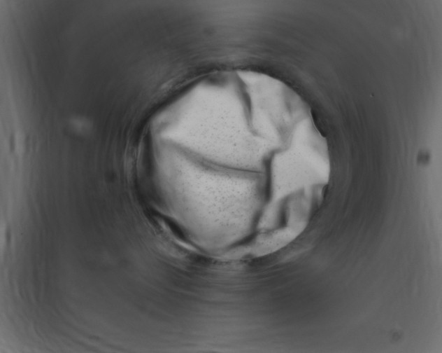 X0000094200576200711241640