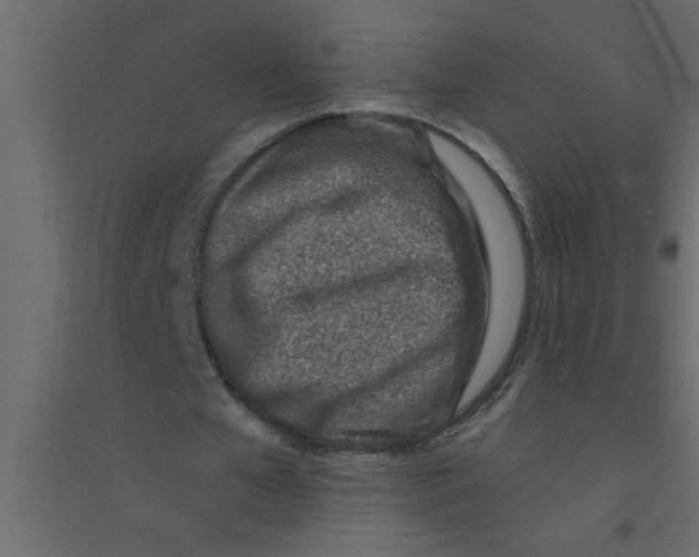 X0000094200577200711241639