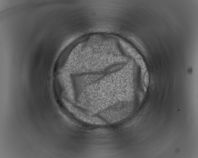 X0000094200578200711241639