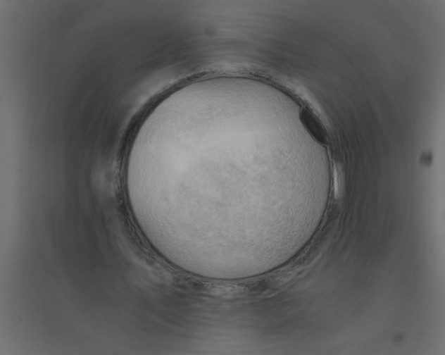 X0000094200579200711241639