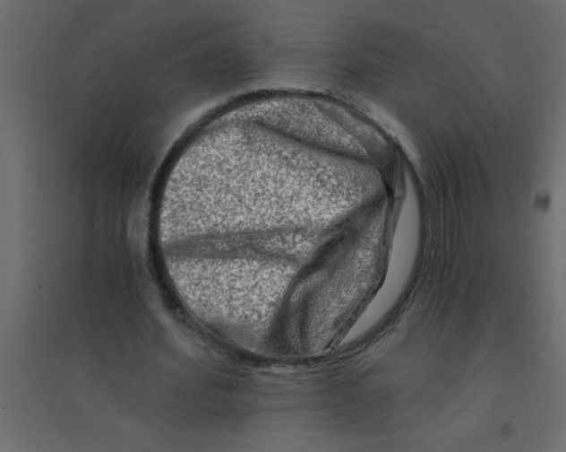 X0000094200580200711241639