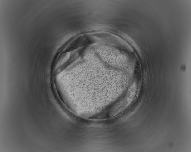 X0000094200581200711241639