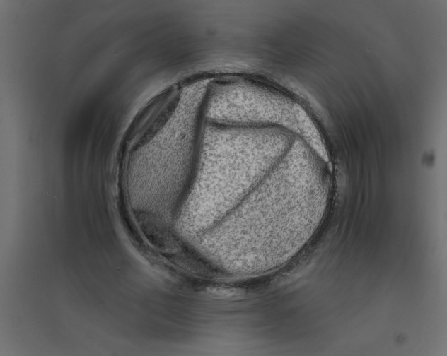 X0000094200582200711241639