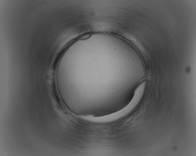 X0000094200583200711241639
