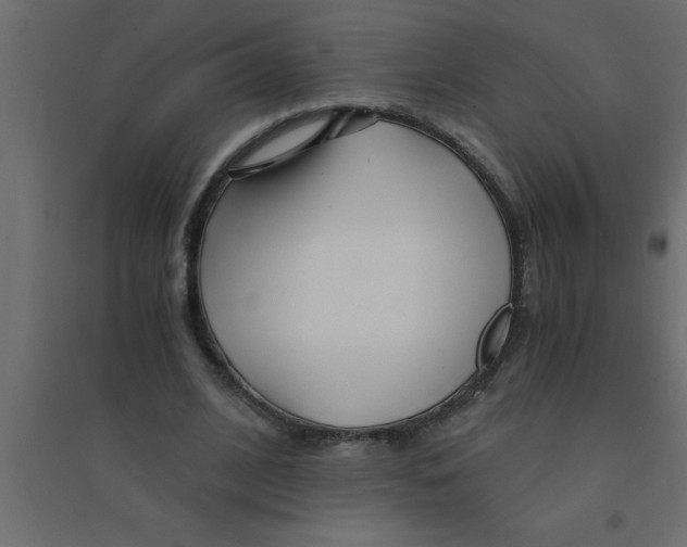 X0000094200584200711241639
