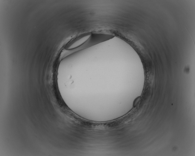 X0000094200587200711241639