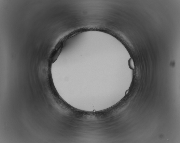 X0000094200588200711241639
