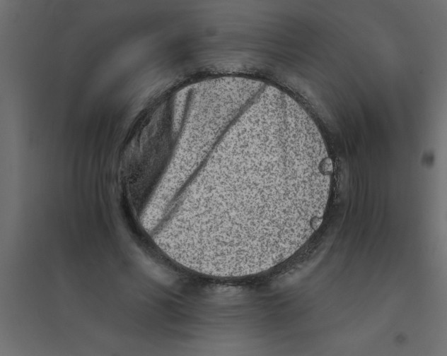 X0000094200590200711241639