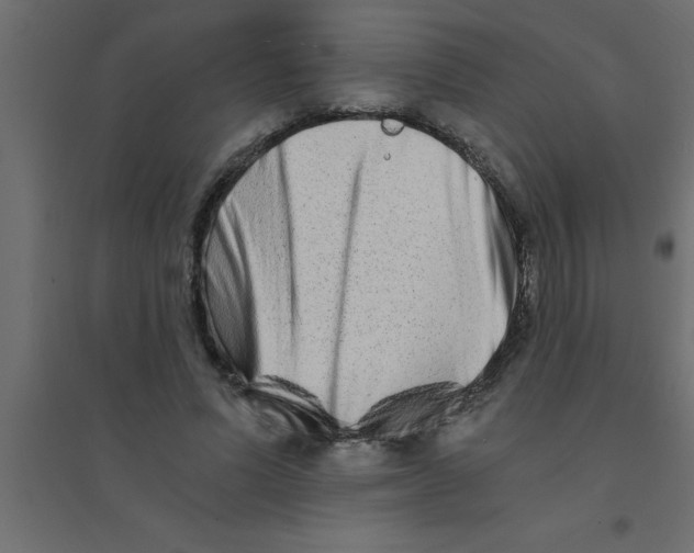X0000094200591200711241639