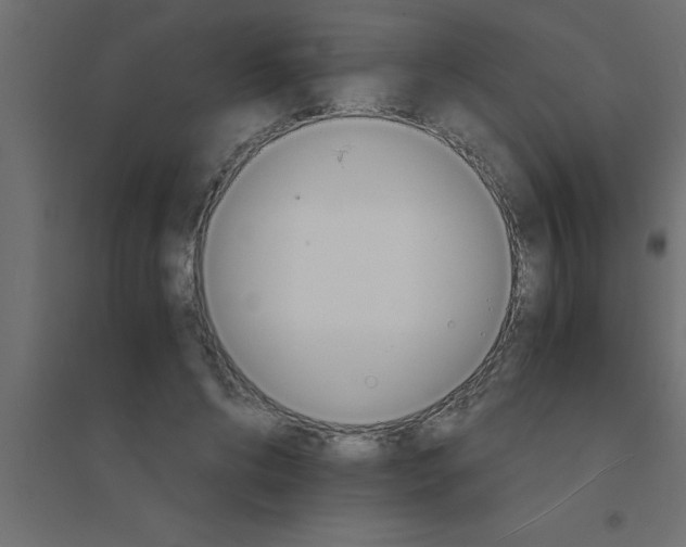 X0000094200592200711241639