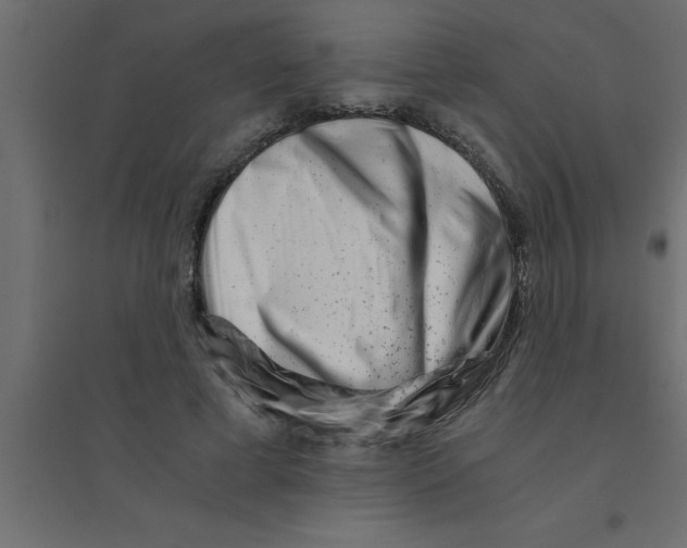X0000094200593200711241639