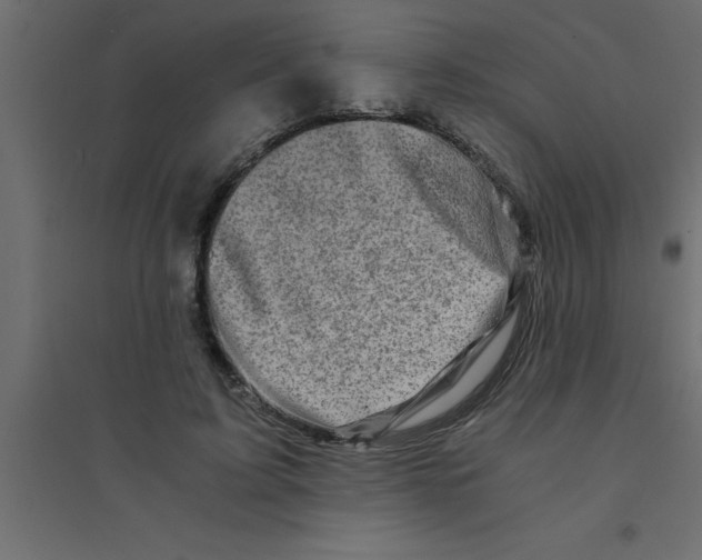 X0000094200595200711241639